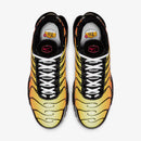 Air Max Plus Tn1 “Tiger”