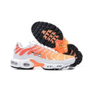 Air Max Plus TN 1 “Gradiente”